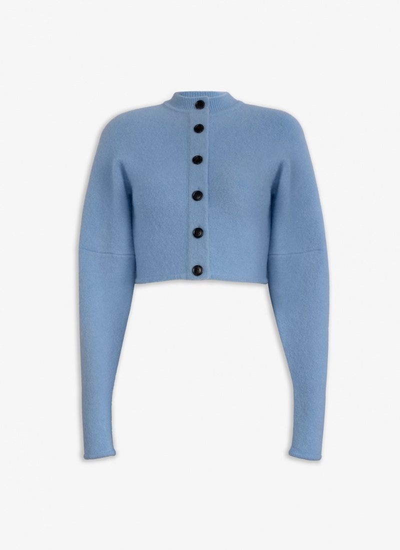 Alaia Alpaca Cropped Cardigan Westen Damen Blau Österreich | O0H-6641