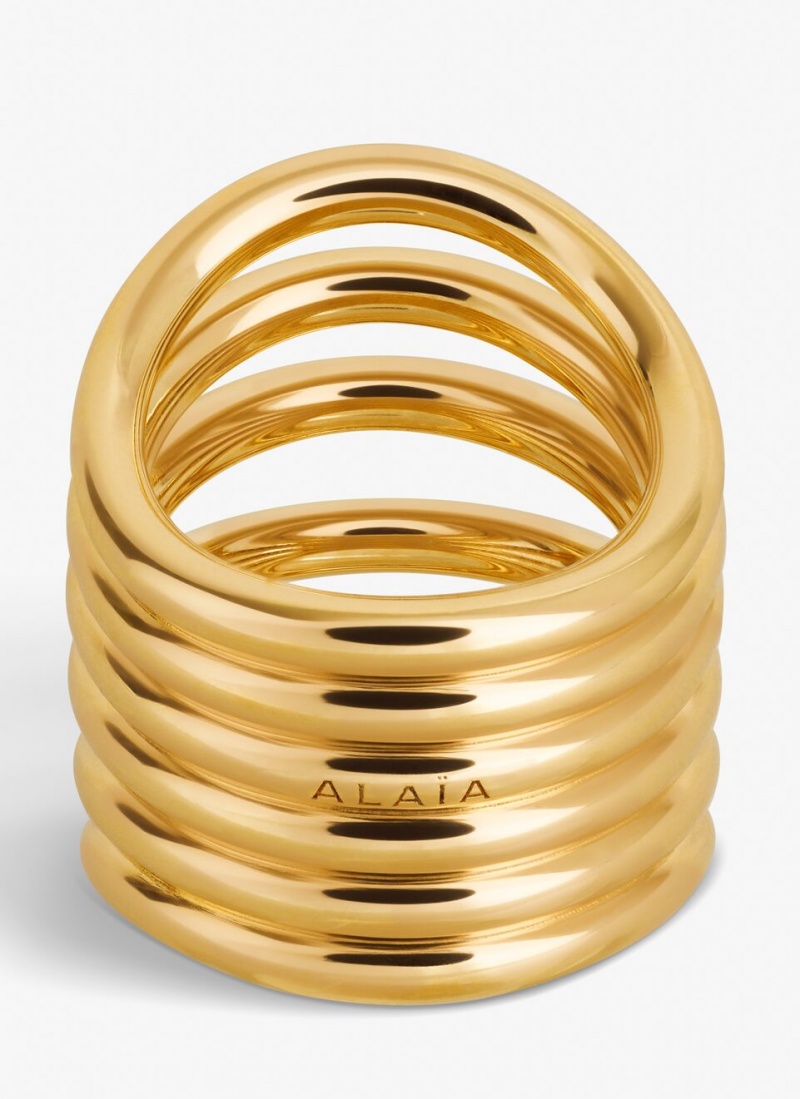 Alaia Big Loop Ringe Damen Gold Österreich | O1I-3250